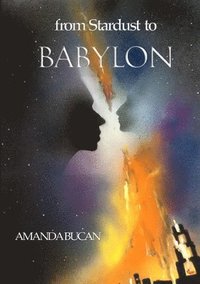 bokomslag From Stardust to Babylon