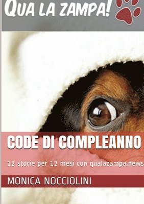 bokomslag Code di compleanno - 12 storie per 12 mesi su qualazampa.news