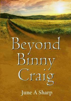 Beyond Binny Craig 1