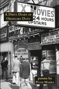 bokomslag Dirty Diary of Ordinary Days