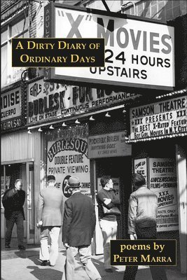bokomslag Dirty Diary of Ordinary Days