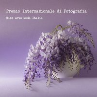 bokomslag Premio Internazionale Di Fotografia Miss Arte Moda Italia 2016