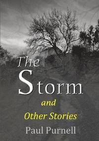 bokomslag The Storm and Other Stories