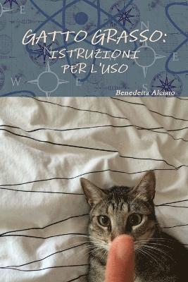 bokomslag Gatto Grasso: Istruzioni Per L'Uso