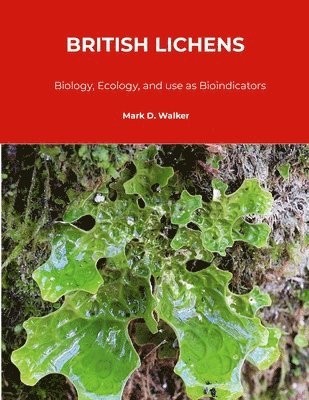 bokomslag British Lichens