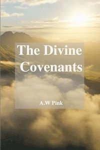 bokomslag The Divine Covenants