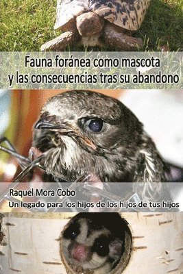 Fauna Fornea como mascota y consecuencias tras su abandono 1