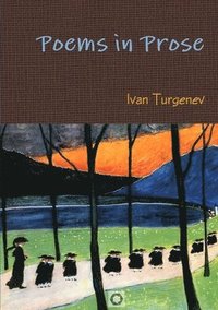 bokomslag Poems in Prose