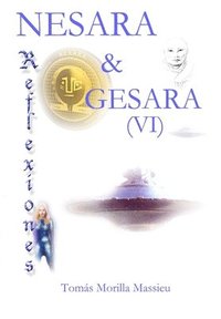 bokomslag NESARA & GESARA... Reflexiones (VI)