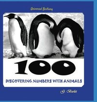 bokomslag Discovering Numbers with Animals