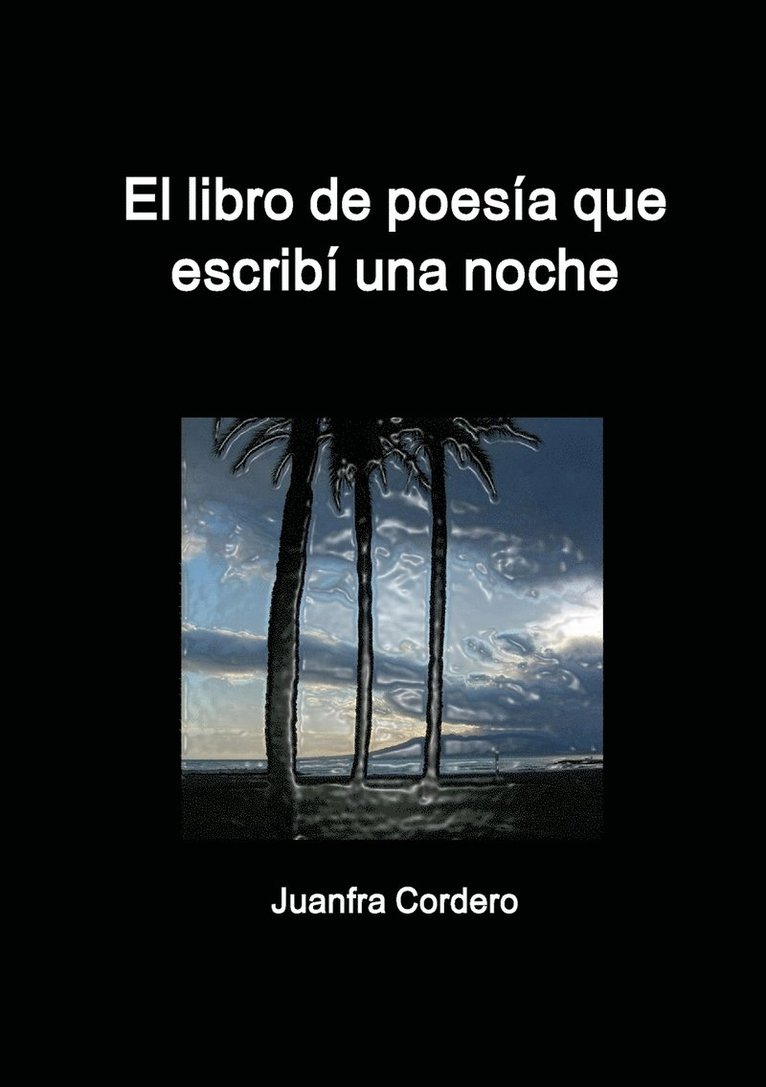 El Libro De Poesia Que Escribi UNA Noche 1