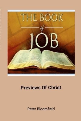 bokomslag book of Job