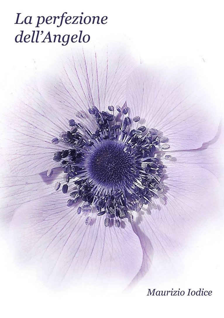 Perfezione Dell'angelo