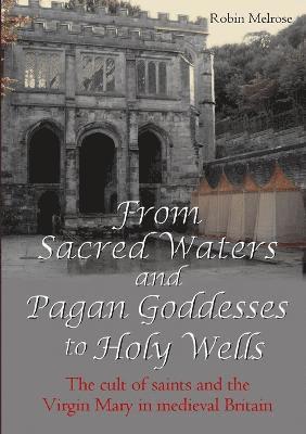 bokomslag From Sacred Waters and Pagan Goddesses to Holy Wells: the Cult of Saints and the Virgin Mary in Medieval Britain