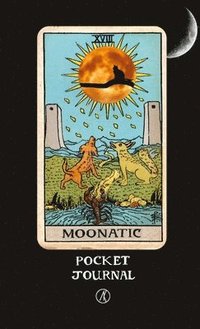 bokomslag Moonatic