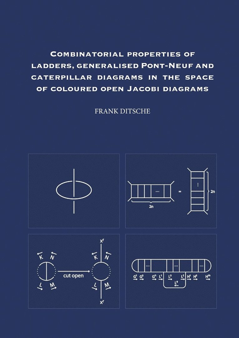 Frank Ditsche - Combinatorial Properties of Ladders, Generalised Pont-Neuf and Caterpillar Diagrams in the Space of Coloured Open Jacobi Diagrams, Häftad