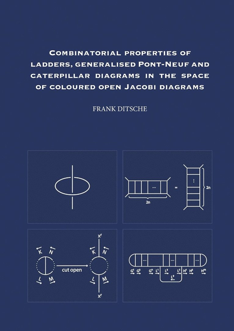 Combinatorial Properties of Ladders, Generalised Pont-Neuf and Caterpillar Diagrams in the Space of Coloured Open Jacobi Diagrams 1