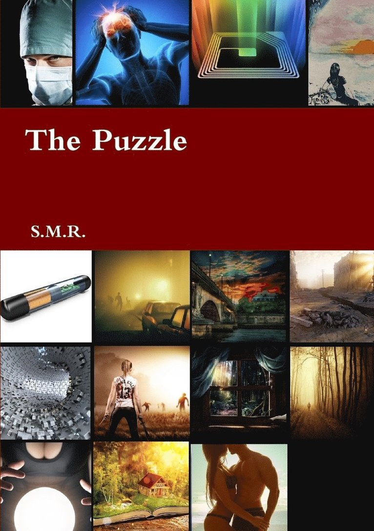 The Puzzle 1