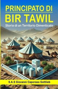 bokomslag Principato di Bir Tawil: Storia di un territorio Dimenticato