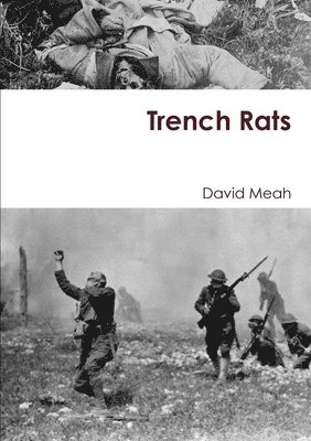 bokomslag Trench Rats