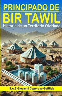 bokomslag Principado de Bir Tawil: Historia de un Territorio Olvidado