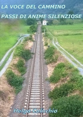 Helga Colicchio - Voce Del Cammino Passi Di Anime Silenziose, Häftad