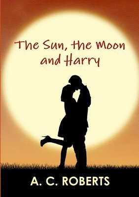 bokomslag Sun, the Moon and Harry
