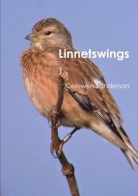 bokomslag Linnetswings