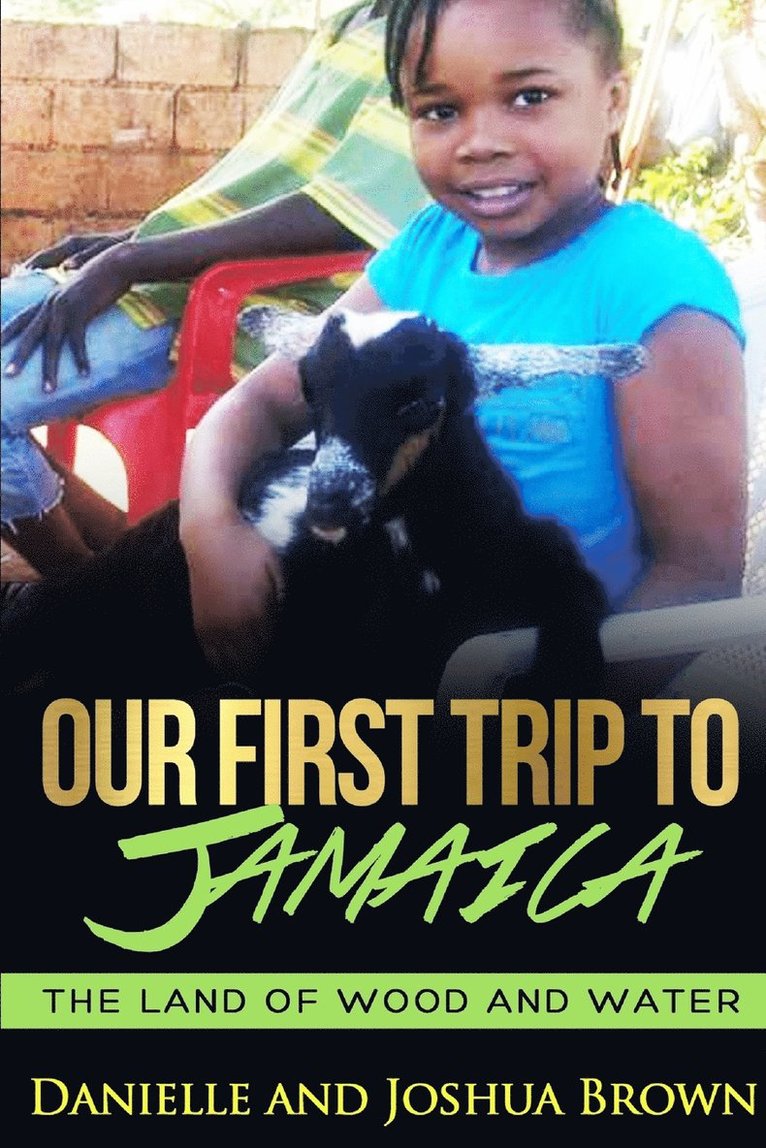 Our First Trip to Jamaica - Land of Wood and Water 1