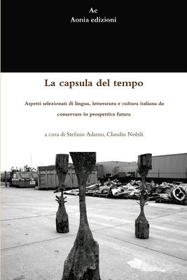 bokomslag La Capsula Del Tempo. Aspetti Selezionati Di Lingua, Letteratura e Cultura Italiana Da Conservare in Prospettiva Futura