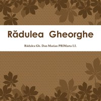 bokomslag Radulea Gheorghe