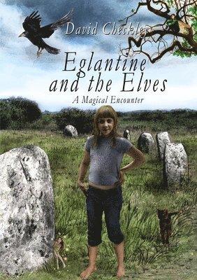 bokomslag Eglantine and the Elves (with Black & White Illustrations)