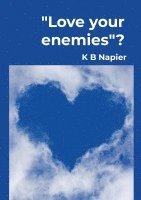 bokomslag Love your Enemies: Is it possible?