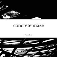 bokomslag concrete maze
