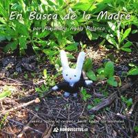 bokomslag Busca De La Madre