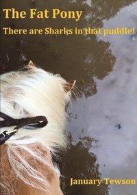 bokomslag The Fat Pony - There are Sharks in that puddle!