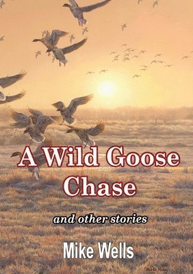 A Wild Goose Chase: and Other Stories 1