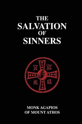 bokomslag Salvation of Sinners