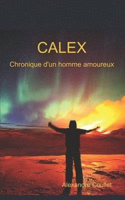 bokomslag Chronique d'un homme amoureux