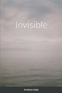 bokomslag Invisible