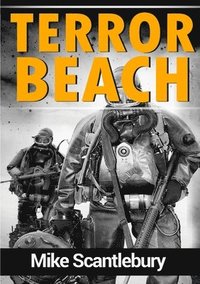bokomslag Terror Beach