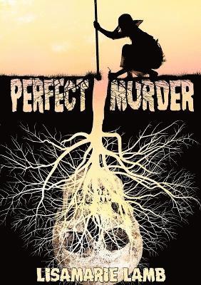 Perfect Murder 1