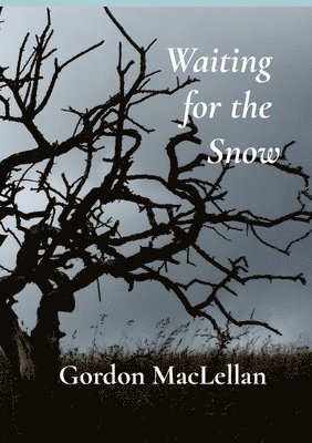 Waiting for the Snow