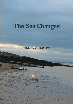 bokomslag Sea Changes