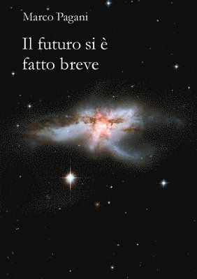 Marco Pagani - Il futuro si è fatto breve, Häftad