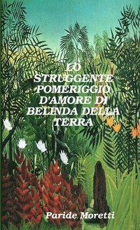 bokomslag Lo Struggente Pomeriggio D'amore Di Belinda Della Terra