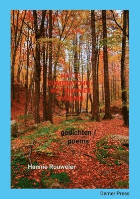 Hannie Rouweler - Natte Zomeravond / Wet Summer Evening, Häftad