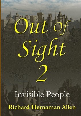 bokomslag Out of Sight 2: Invisible People