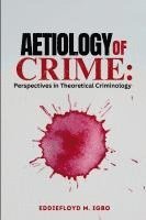 bokomslag Aetiology of Crime