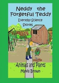 bokomslag Neddy the Forgetful Teddy Everyday Science Stories
